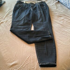 Lane Bryant Blue Denim Jeans